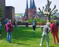 Welt Qigong Taiji Tag Gelnhausen 2026