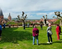 Welt Qigong Taiji Tag Gelnhausen 2026
