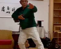 Taiji Vorführung des Großmeisters Shen Xijing